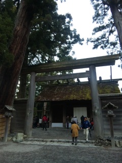 �悸��