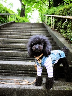 �����̂�����Style