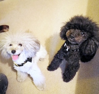 �߂����E�E