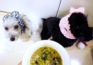 �����ҁ[�[��