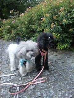 ���U���Ȃ�