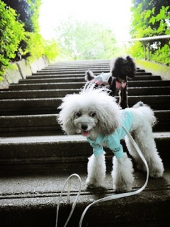 ������