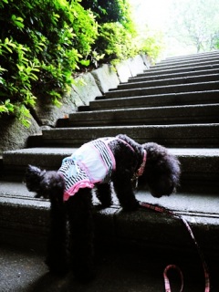 �����̂�����Style