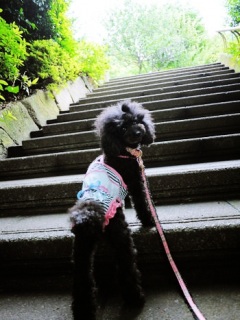 �����炿���