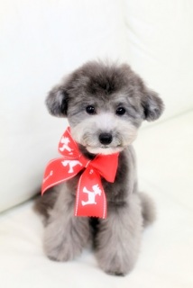 �P�΂̂ҁ[����