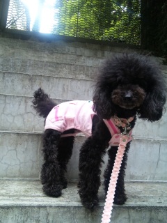 ���U���Ȃ�