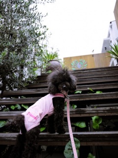 �����̂�����Style