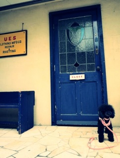 �����炿���