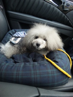 ���o�����Ȃ�