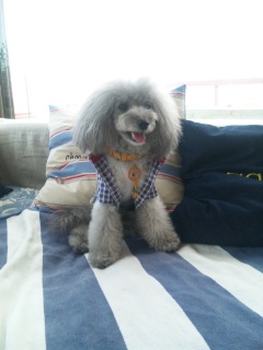 �A�g���G�f�f