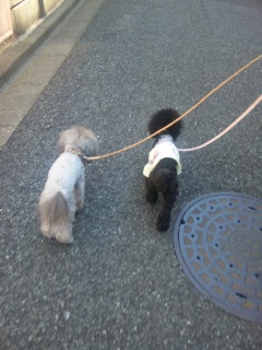 ���U���Ȃ�