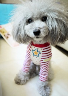 �����ҁ[����