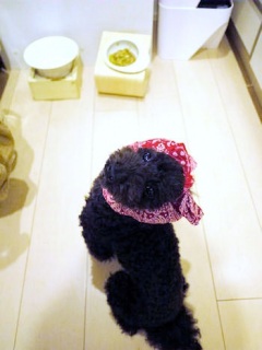 �����炿���