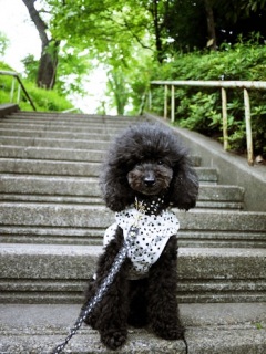 �����̂����炿���