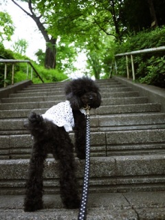 �����炿���