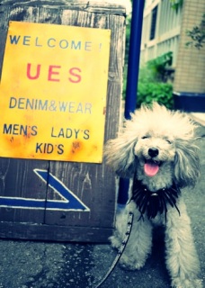 �ҁ[�����