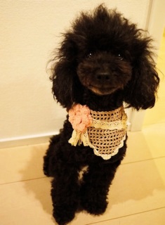 �����炿���