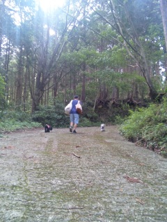 ��������