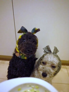 �����ҁ[����