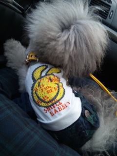 ���o�����Ȃ�