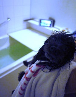 �����C���