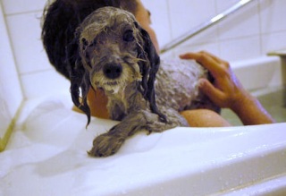 �ҁ[�����