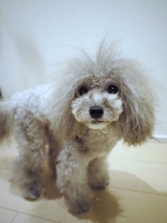 �t���t��