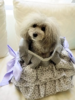 �L�����[