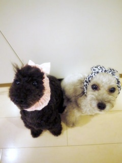 �[�т����ҁ[