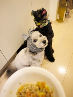 �����ҁ[���H