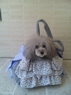 ���o�����Ȃ�