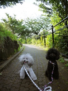 ������
