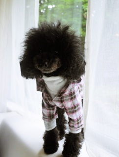 ������Style