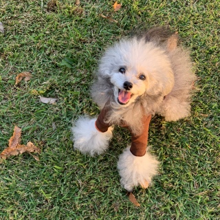 �ҁ[�����
