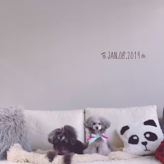�P���V��������P